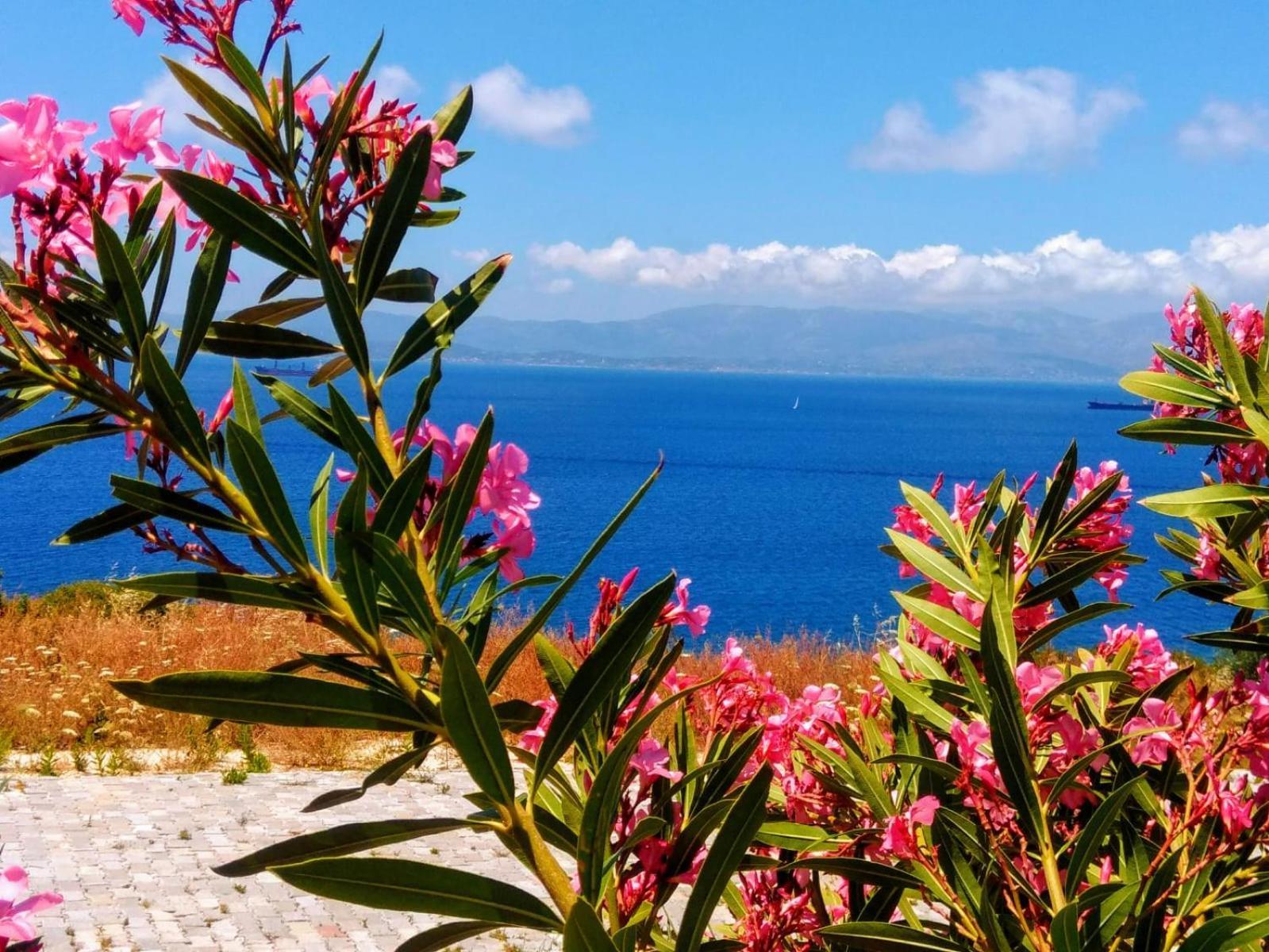 Mavi Panorama Villa Çeşme Luaran gambar